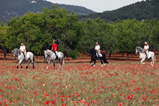 Spain-Mallorca/Menorca-Island Discovery Ride